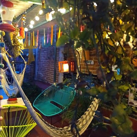 Casa Apapacho Hostel San Cristóbal de Las Casas Dış mekan fotoğraf