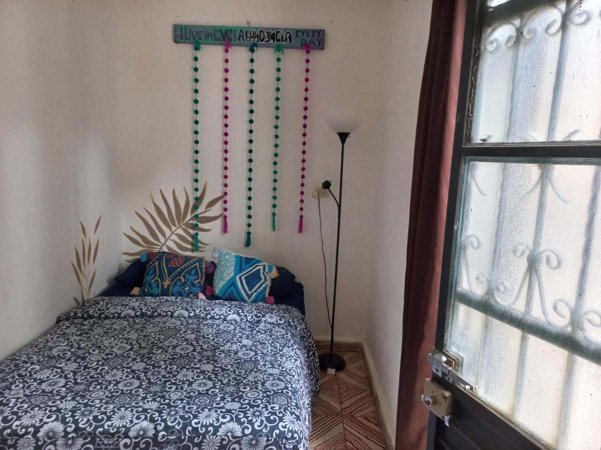 Casa Apapacho Hostel San Cristóbal de Las Casas Dış mekan fotoğraf