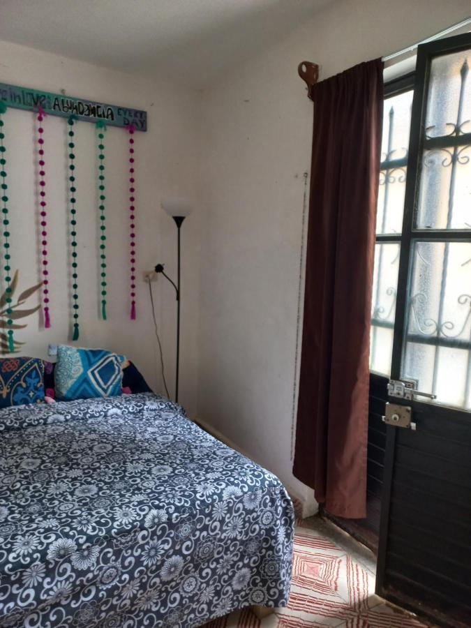 Casa Apapacho Hostel San Cristóbal de Las Casas Dış mekan fotoğraf